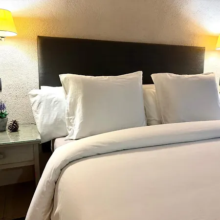 Hotel The Pines 4*