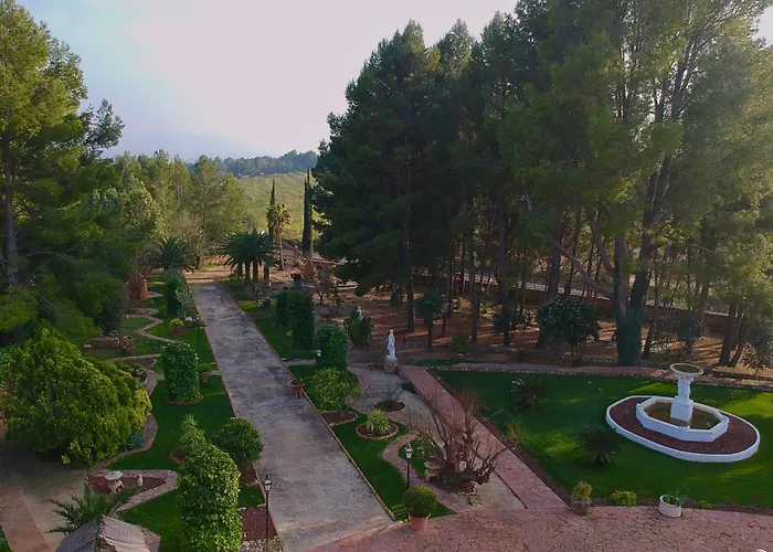 The Pines