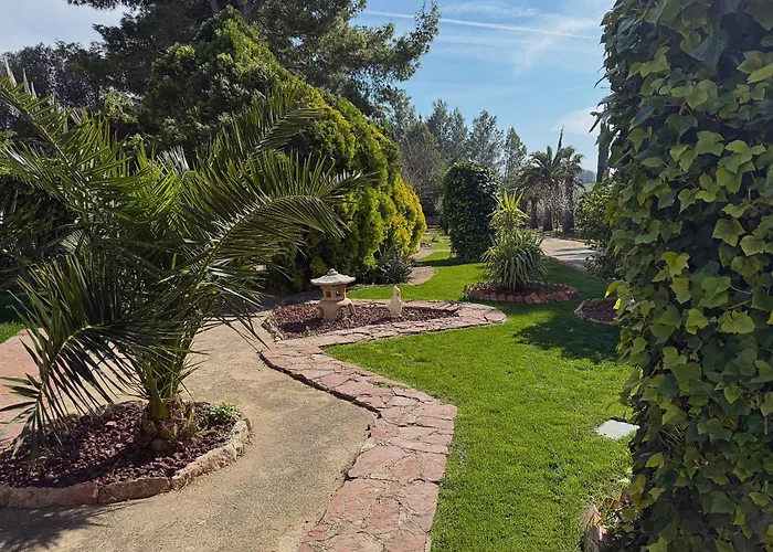 Отель The Pines 4*